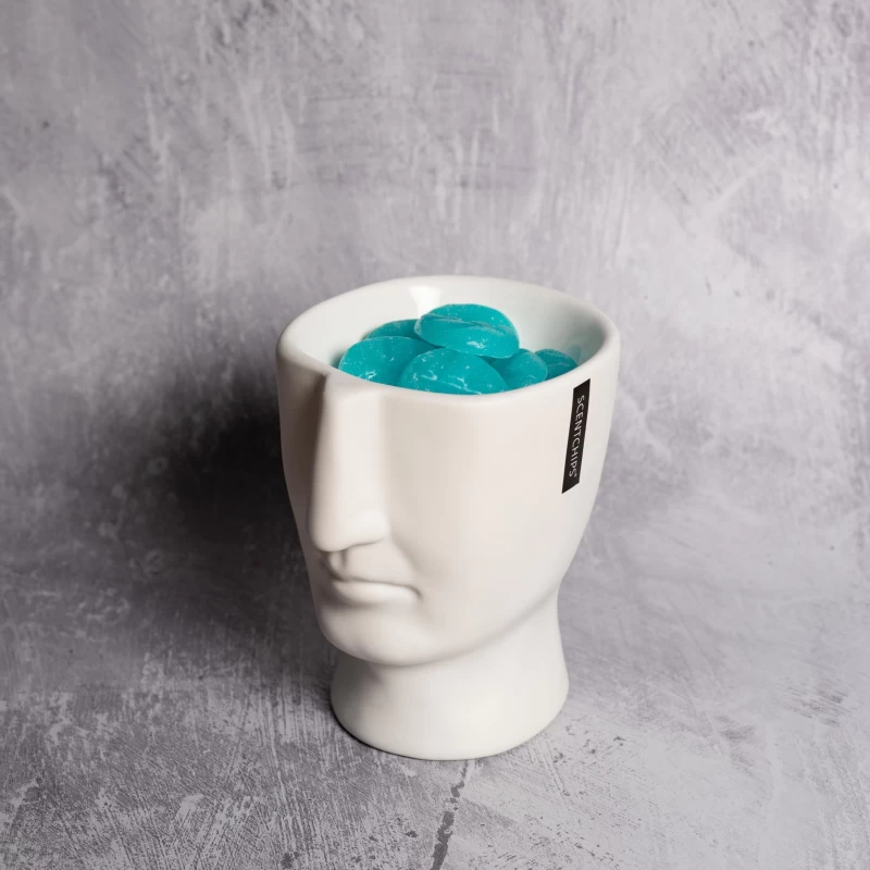 Αρωματιστής Scentchips Visage λευκός